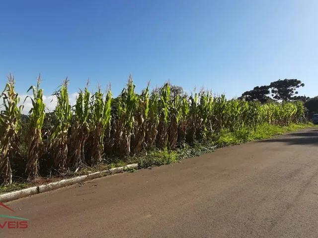 Imagem 8: TERRENO RESIDENCIAL em Nova Petrópolis - RS, Vale Verde