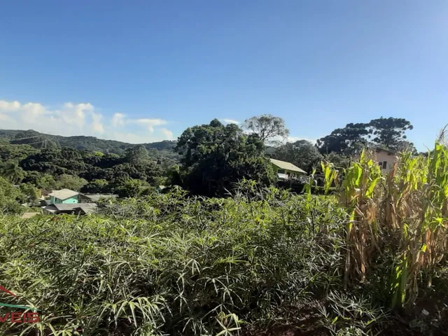 Imagem 14: TERRENO RESIDENCIAL em Nova Petrópolis - RS, Vale Verde
