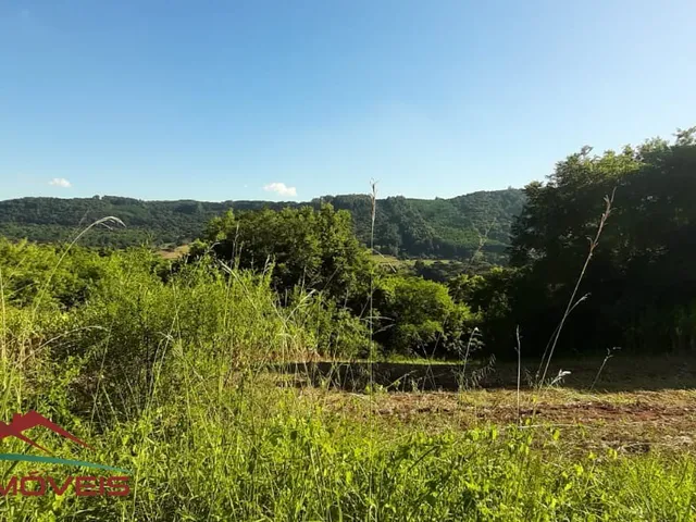 Imagem 4: CHACARA RURAL em Nova Petrópolis - RS, Linha Brasil