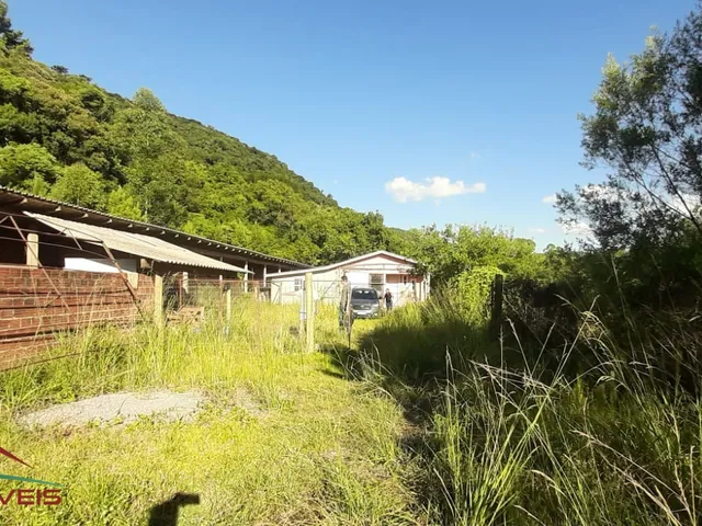 Imagem 9: CHACARA RURAL em Nova Petrópolis - RS, Linha Brasil