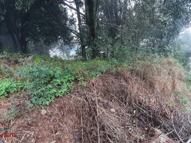 Imagem 3: TERRENO RESIDENCIAL em Nova Petrópolis - RS, Piá