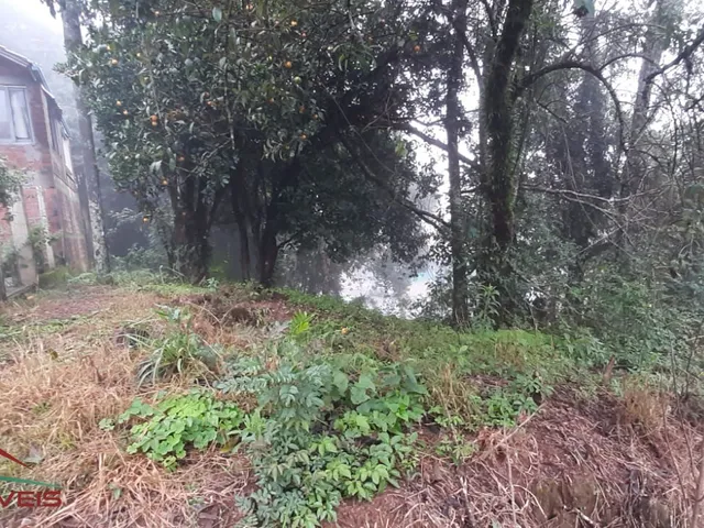 Imagem 4: TERRENO RESIDENCIAL em Nova Petrópolis - RS, Piá