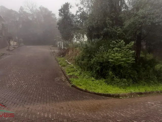 Imagem 2: TERRENO RESIDENCIAL em Nova Petrópolis - RS, Piá