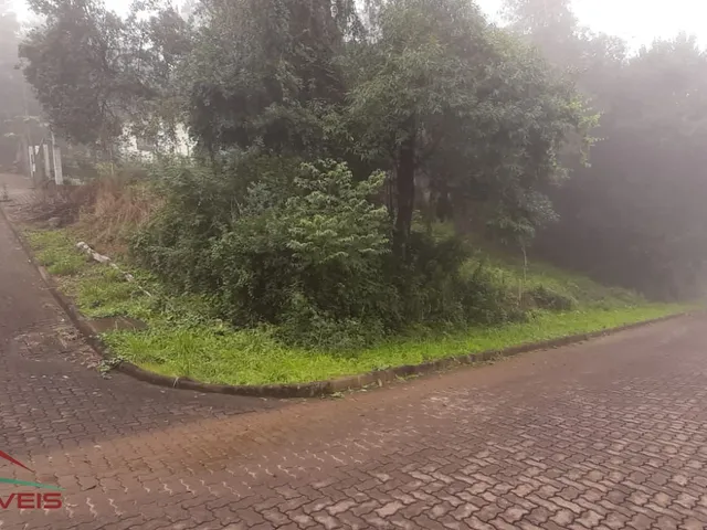 Imagem 10: TERRENO RESIDENCIAL em Nova Petrópolis - RS, Piá