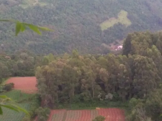 Imagem: AREA RURAL em LINHA NOVA - RS, Canto Bayer