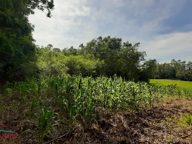 Imagem 6: AREA RURAL em LINHA NOVA - RS, Canto Bayer