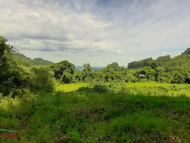 Imagem 13: AREA RURAL em LINHA NOVA - RS, Canto Bayer