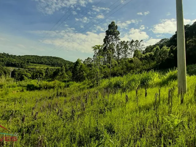 Imagem 8: AREA RURAL em LINHA NOVA - RS, Canto Bayer