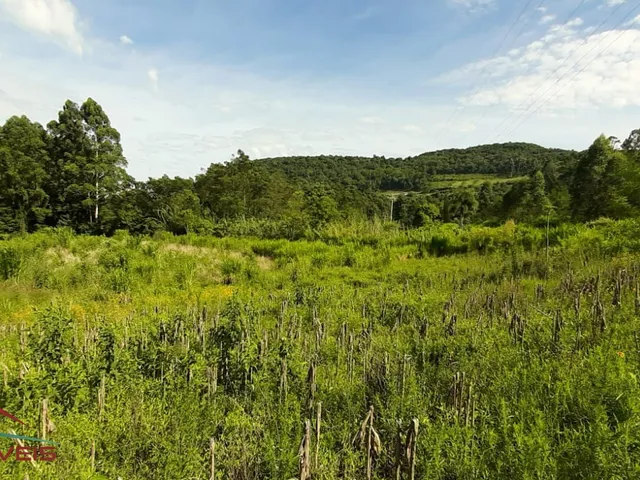 Imagem 9: AREA RURAL em LINHA NOVA - RS, Canto Bayer