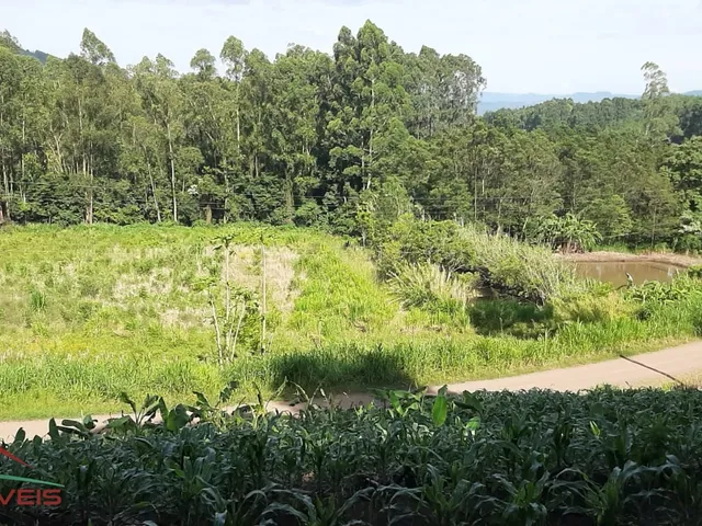 Imagem 10: AREA RURAL em LINHA NOVA - RS, Canto Bayer
