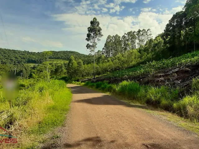 Imagem 14: AREA RURAL em LINHA NOVA - RS, Canto Bayer