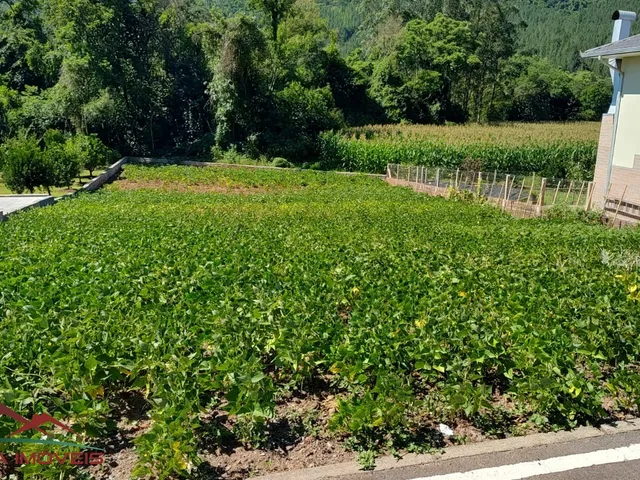 Imagem 2: TERRENO RESIDENCIAL em PICADA CAFÉ - RS, Centro