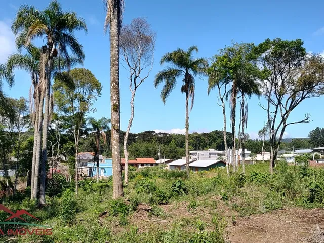 Imagem 5: TERRENO RESIDENCIAL em Nova Petrópolis - RS, Vila Germania