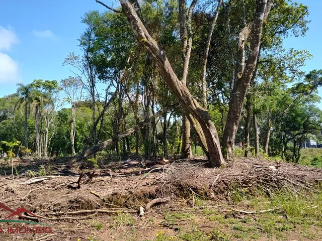Imagem 8: TERRENO RESIDENCIAL em Nova Petrópolis - RS, Vila Germania