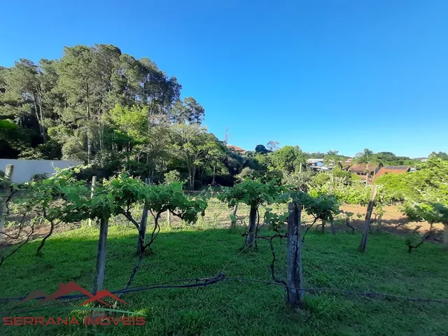 Imagem 2: TERRENO RESIDENCIAL em Nova Petrópolis - RS, Logradouro