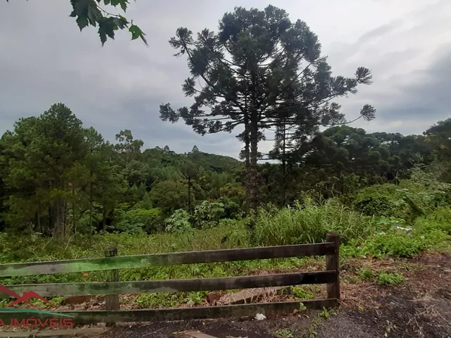 Imagem 5: AREA COMERCIAL em Nova Petrópolis - RS, Pousada da Neve