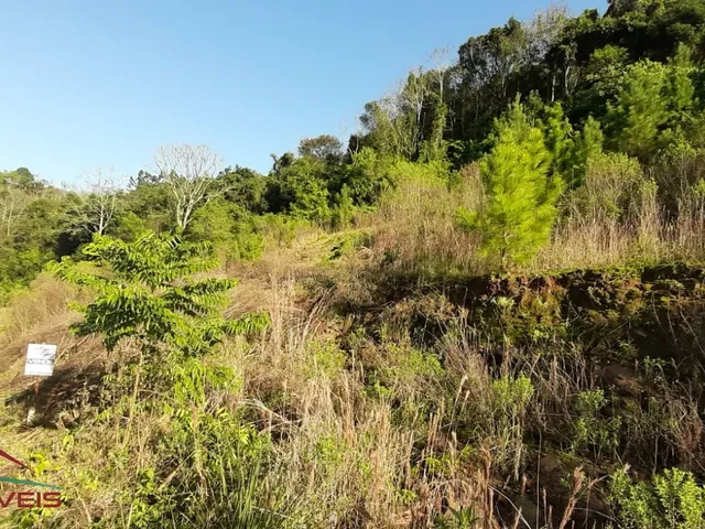 Imagem 7: TERRENO RESIDENCIAL em Nova Petrópolis - RS, Bavária