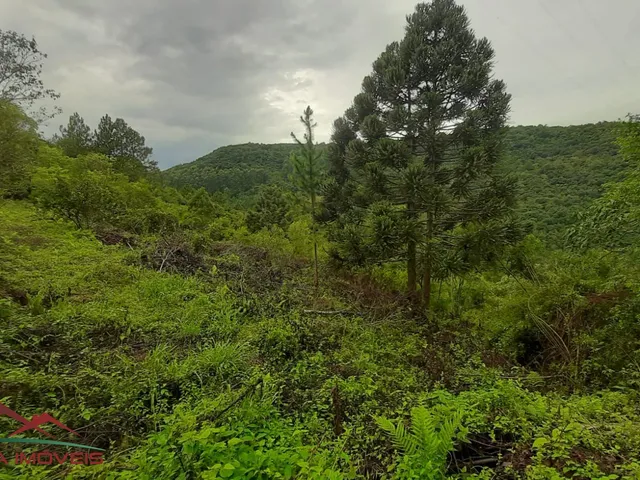 Imagem 9: AREA RURAL em Nova Petrópolis - RS, Canto Akermann