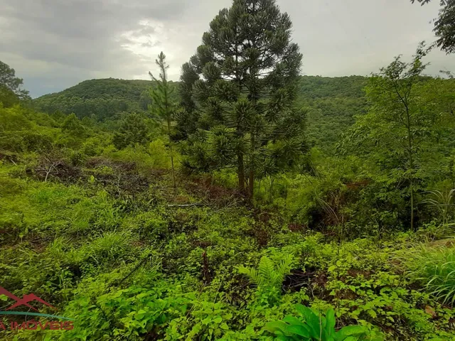 Imagem 12: AREA RURAL em Nova Petrópolis - RS, Canto Akermann