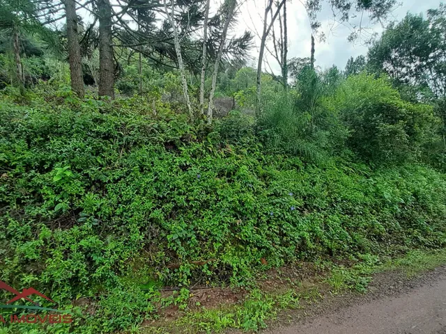 Imagem 8: AREA RURAL em Nova Petrópolis - RS, Canto Akermann