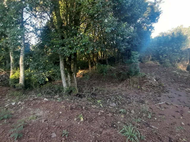 Imagem 12: TERRENO RESIDENCIAL em Nova Petrópolis - RS, Bavária