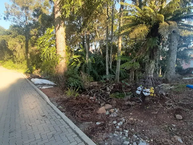 Imagem 13: TERRENO RESIDENCIAL em Nova Petrópolis - RS, Bavária