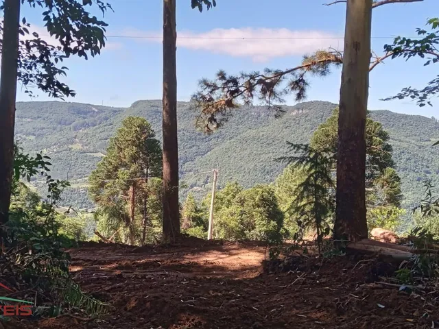Imagem: AREA RURAL em Nova Petrópolis - RS, Linha