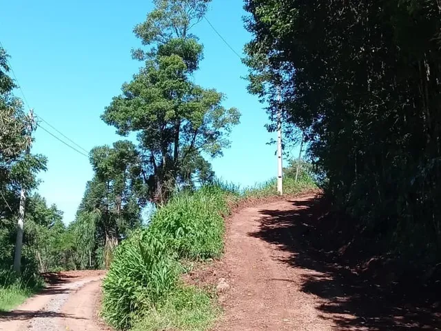 Imagem 13: AREA RURAL em Nova Petrópolis - RS, Linha Brasil