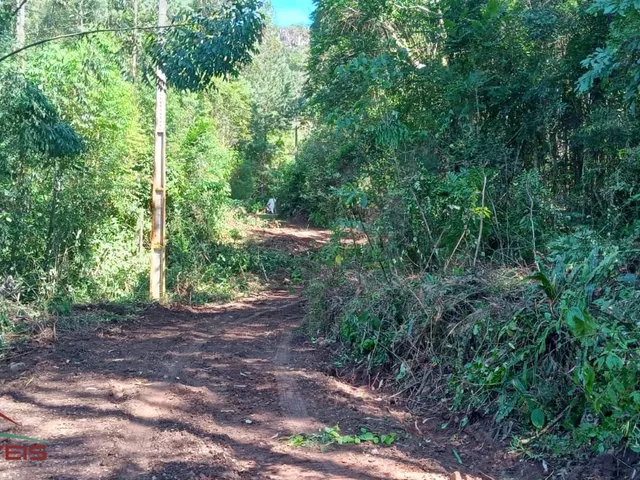 Imagem 15: AREA RURAL em Nova Petrópolis - RS, Linha Brasil