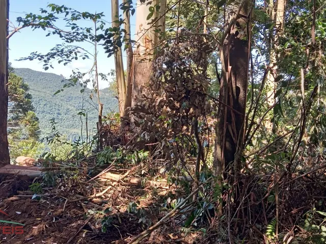 Imagem 16: AREA RURAL em Nova Petrópolis - RS, Linha Brasil