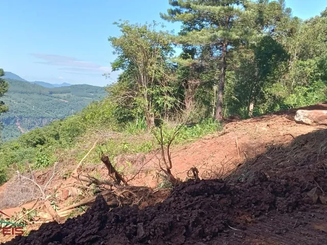 Imagem 6: AREA RURAL em Nova Petrópolis - RS, Linha Brasil