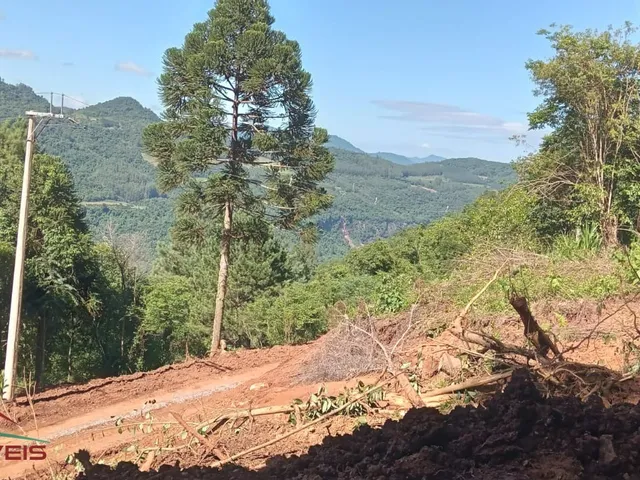 Imagem 12: AREA RURAL em Nova Petrópolis - RS, Linha Brasil