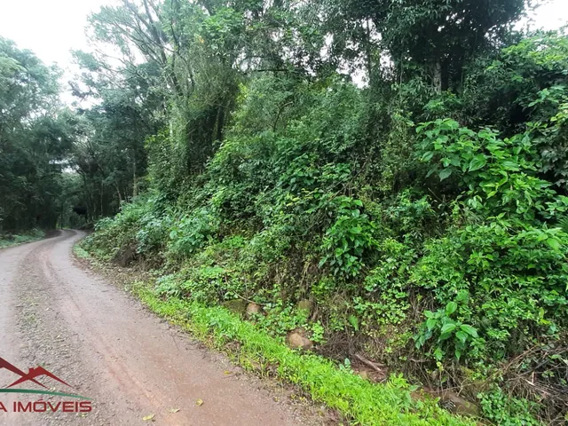 Imagem: AREA RURAL em Nova Petrópolis - RS, Canto