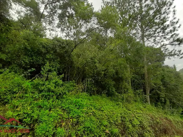 Imagem 14: AREA RURAL em Nova Petrópolis - RS, Canto Akermann