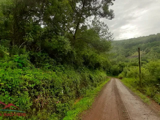 Imagem 8: AREA RURAL em Nova Petrópolis - RS, Canto Akermann