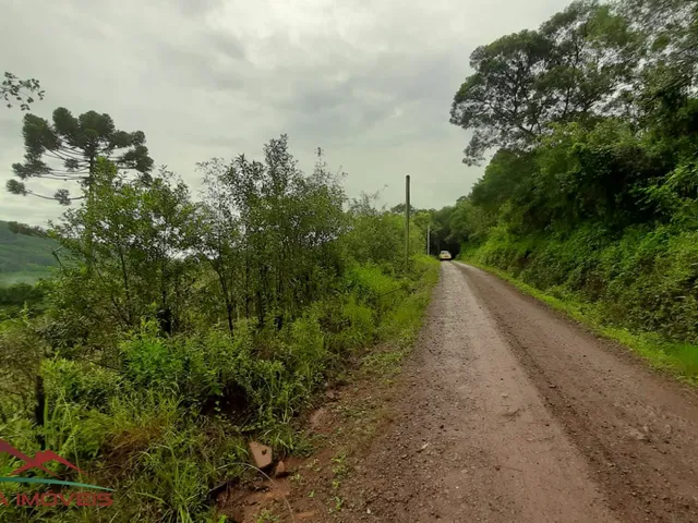 Imagem 11: AREA RURAL em Nova Petrópolis - RS, Canto Akermann