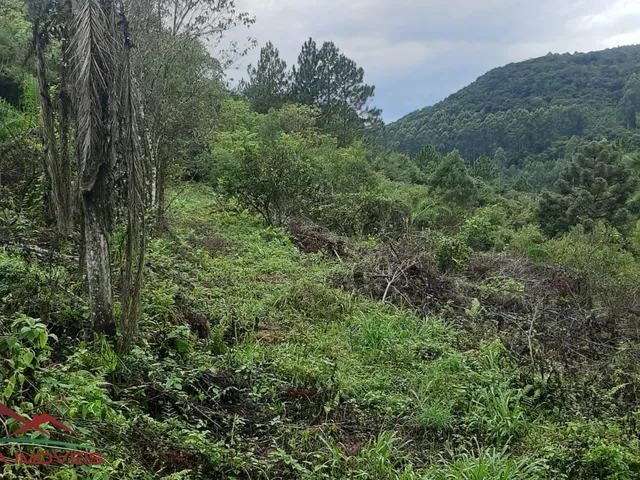 Imagem 5: AREA RURAL em Nova Petrópolis - RS, Canto Akermann