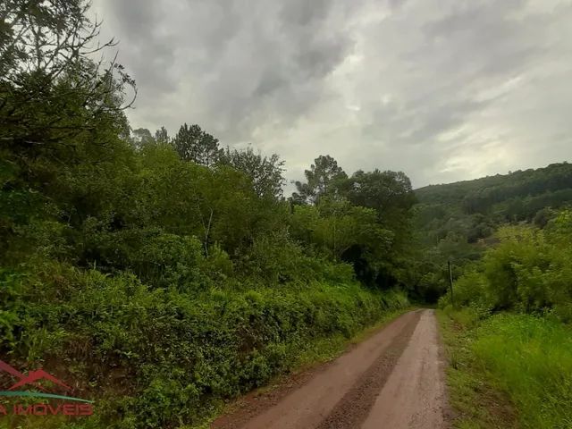 Imagem 6: AREA RURAL em Nova Petrópolis - RS, Canto Akermann