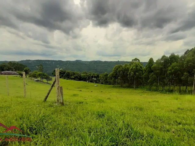 Imagem 3: AREA RURAL em Nova Petrópolis - RS, São Jacó