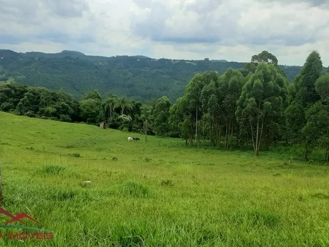 Imagem 14: AREA RURAL em Nova Petrópolis - RS, São Jacó