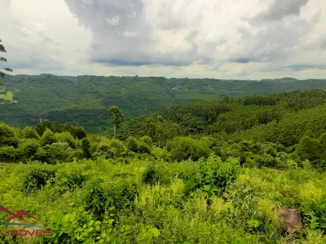 Imagem 13: AREA RURAL em Nova Petrópolis - RS, São Jacó