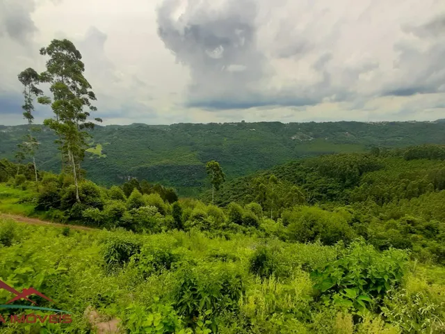 Imagem 8: AREA RURAL em Nova Petrópolis - RS, São Jacó