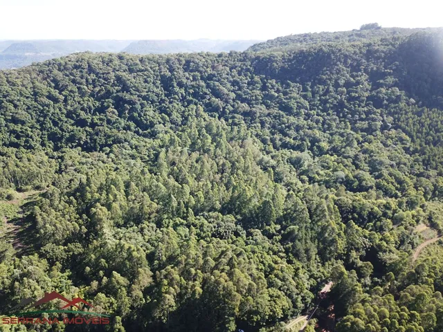 Imagem 2: AREA RURAL em Nova Petrópolis - RS, Linha Brasil