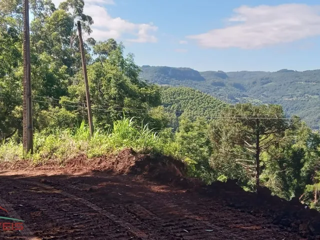 Imagem 4: AREA RURAL em Nova Petrópolis - RS, Linha Brasil