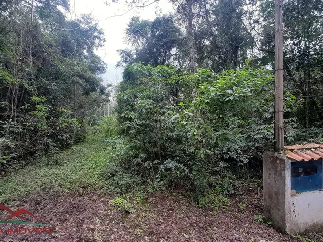 Imagem 3: AREA RURAL em LINHA NOVA - RS, Morro Grande