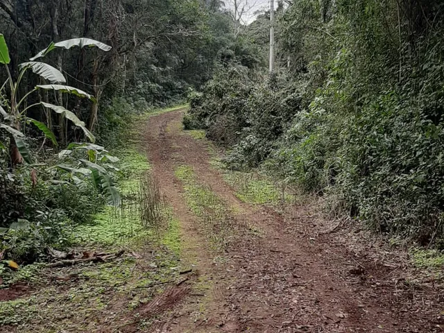 Imagem 8: AREA RURAL em LINHA NOVA - RS, Morro Grande