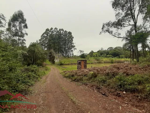 Imagem 6: CHACARA RURAL em Nova Petrópolis - RS, Vila Germânia