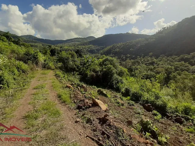 Imagem: AREA RURAL em Nova Petrópolis - RS, Pedancino
