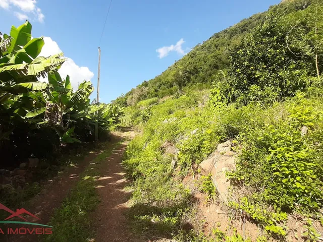 Imagem 4: AREA RURAL em Nova Petrópolis - RS, Pedancino
