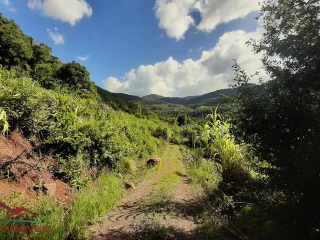 Imagem 2: AREA RURAL em Nova Petrópolis - RS, Pedancino